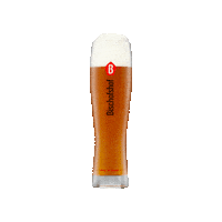 Brauerei Regensburg Sticker by Bischofshof