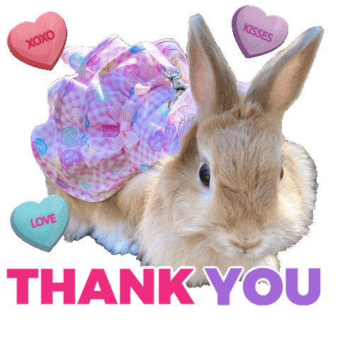 Thanks Thank You Sticker by Pimp Yo Pets