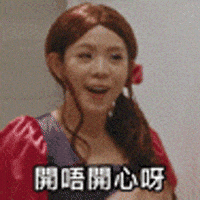 Tiger Mirror GIF by ViuTV