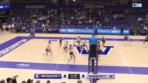GIF by Washington Athletics