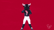 Toro Dancing GIF by Houston Texans