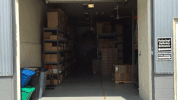GIF by Polyvinyl Records