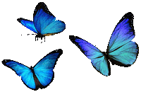 Flower Butterfly Sticker