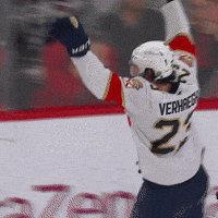 Hands Up Hug GIF by Florida Panthers