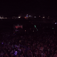 GIF by Bonnaroo Music and Arts Festival