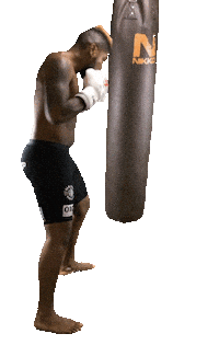 work out fight Sticker by Luis Tavares