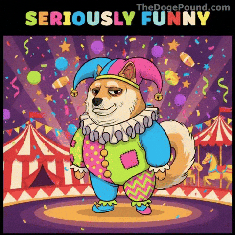 Shiba Inu Lol GIF by Doge Pound