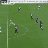 ogcnice-on-giphy ogc nice ogcn ogcgif GIF