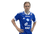 Floorball Salibandy Sticker by F-liiga