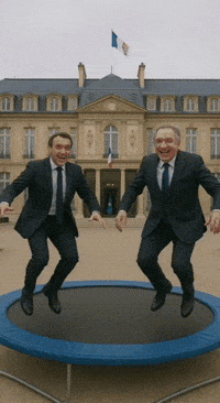 Macron GIF by systaime