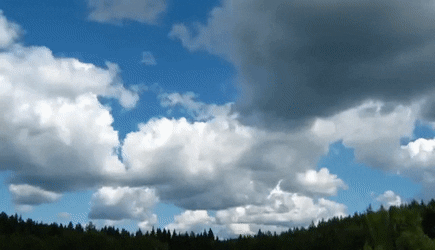 genesis_group giphyupload GIF