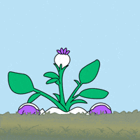 Angry For Real GIF by Magic Eden