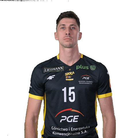 Power Volleyball Sticker by PGE GiEK Skra Bełchatów
