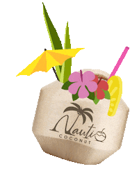 Fun Summer Sticker by Drink Nauti