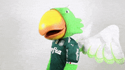 valentines day flower GIF by SE Palmeiras