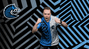 Rocket League Yes GIF by BS+COMPETITION