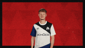 Arminia Bielefeld Football GIF by Bundesliga
