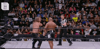 Chris Jericho Wrestling GIF by AEWonTV