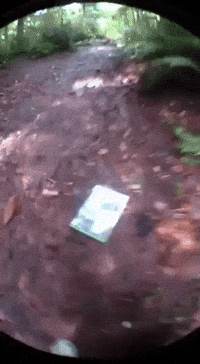 Jilly GIF
