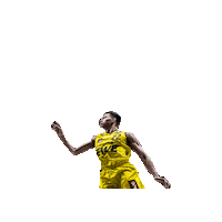 Ewe Baskets Sticker by EWE Baskets Oldenburg