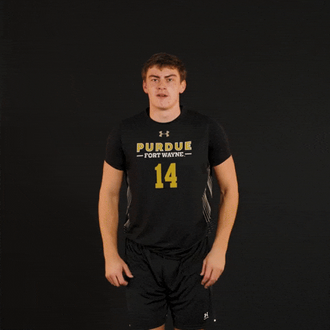 Fort Wayne Volleyball GIF by Purdue Fort Wayne Athletics