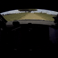 Happy Thierry Neuville GIF by FIA World Rally Championship