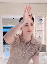 Skz Versace GIF