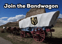 Vegas Golden Knights Vgk GIF