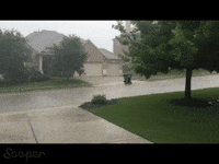 bin GIF