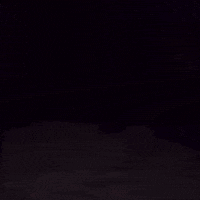 Cat Friend GIF