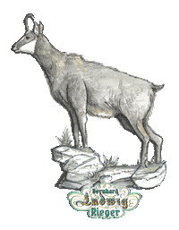 Alpenterieur wild alps berg heimat Sticker