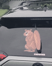 Tail Beaver GIF by WiperTags Wiper Covers