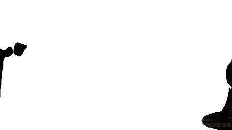 Def Leppard Sticker by Primary Wave