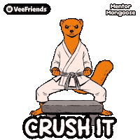 Karate Crush It Sticker by VeeFriends
