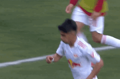 Celebrate New York Red Bulls GIF by Major League Soccer