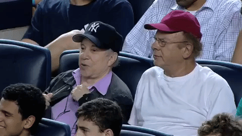 paul simon baseball GIF