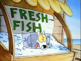 rockos modern life nicksplat GIF