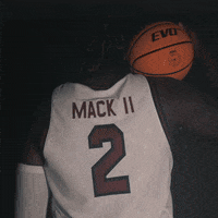 March Madness Sport GIF by gamecocksonline