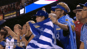 kc GIF by MLB