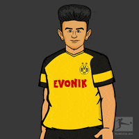 borussia dortmund success GIF by Bundesliga