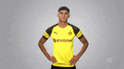 borussia dortmund football GIF by Bundesliga
