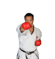 IsshoniKarate isshoni isshonikarate Sticker