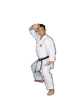 IsshoniKarate isshoni isshonikarate Sticker