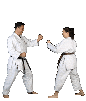 IsshoniKarate isshoni isshonikarate Sticker