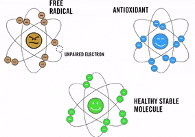 TOSOC cell explain chemical healty GIF