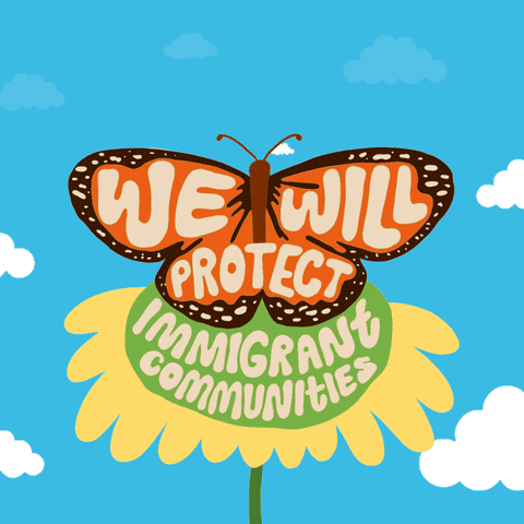 Digital art gif. Orange and brown butterfly sits on a sunflower against a blue sky with a few stray clouds. Text, “We will protect immigrant communities.”
