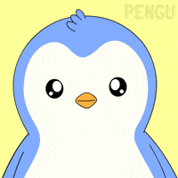 Money Penguin GIF by Pudgy Penguins