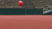 easter egg GIF by bett1