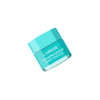 Makeup Skincare Sticker by PhAmorepacific