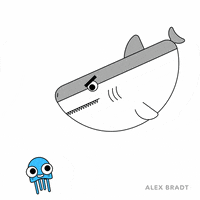 alexbradt fun hello hi hey GIF